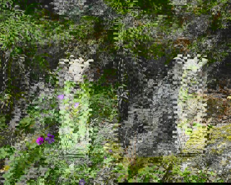 Stone cast Winged Gargoyle