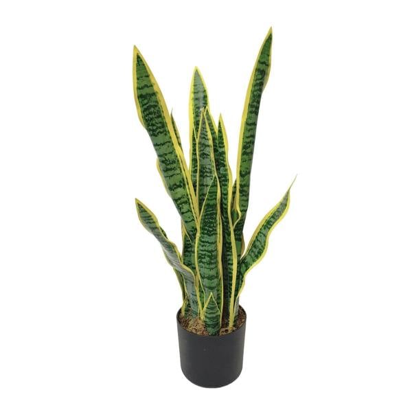 Artificial Dracaena Trifasciata Snake Plant 65cm - Evergreenery
