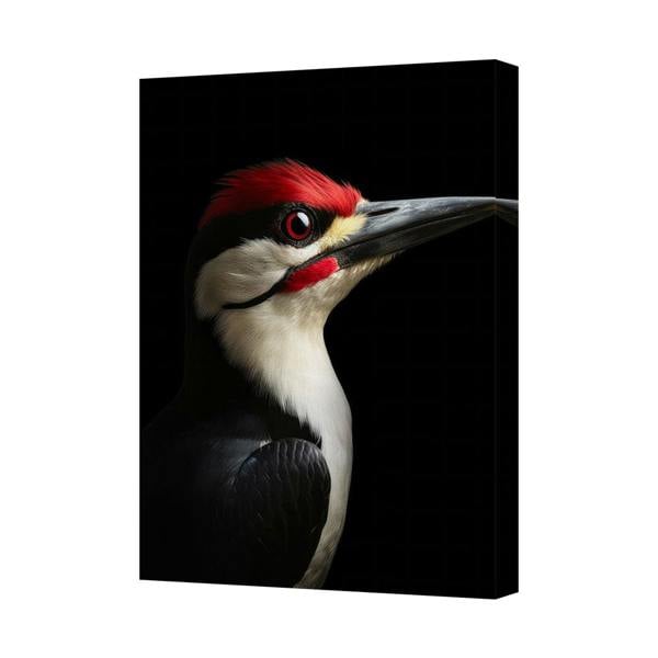 Benjamin Tate Design Kingfisher Bird Canvas Wall Art Portrait Black Background