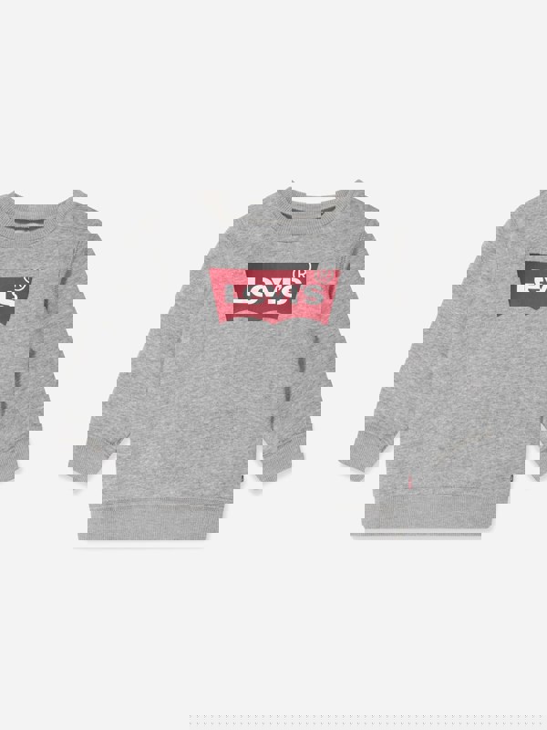 Levi's Kids Wear Levi's Baby Boys Batwing Crewneck Sweatshirt in Grey