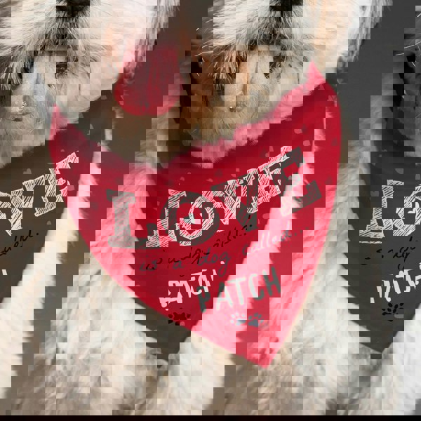 Personalised Memento Company Personalised Love is... Dog Bandana