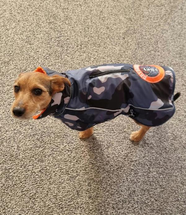 DRYBONES Waterproof Dog Coat