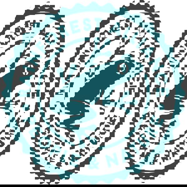 Dark Chocolate Coated Pistachios, 300g