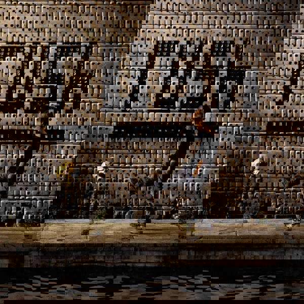 Rush 'Roll The Bones' (Remastered) CD