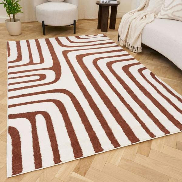 Patterned rug on a wooden floor with a living room setting