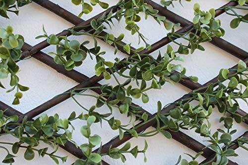 The Garden Marketplace Expanding Willow Garden Trellis with Buxus Leaves, 2m x 1m Extendable Privacy Screen Panel, Decorative Greenery Fence Cover
