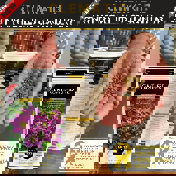 Bronte Heritage Clematis Fertiliser 120g – Controlled-release granules for climbers like honeysuckle & ivy. Boosts growth & flowering. Easy-apply