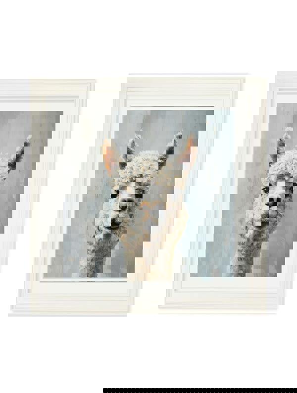 Exceptional Art The Goofy Alpaca - Cream Hurstwood square frame