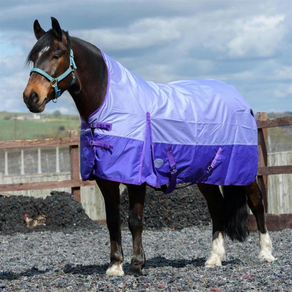 eQuitack 600D Outdoor Winter Lightweight Waterproof Horse Turnout Rug 0g No Fill Half Neck Nylon Lined Double Buckle Lavender/Purple