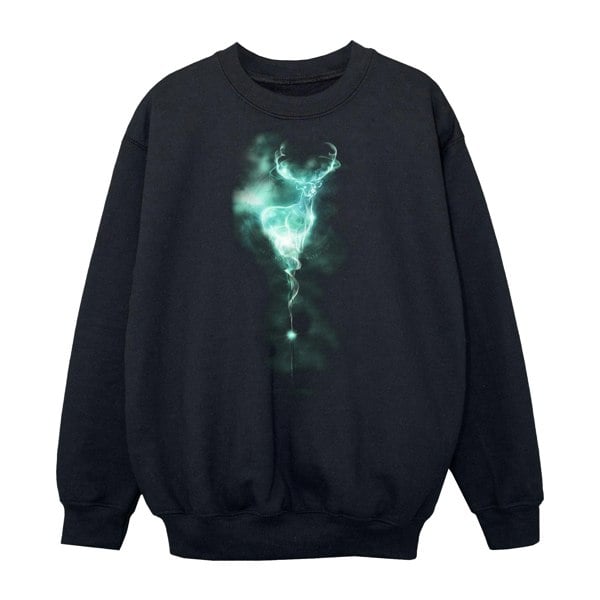 Harry Potter Boys Patronus Mist Stag Sweatshirt - Black