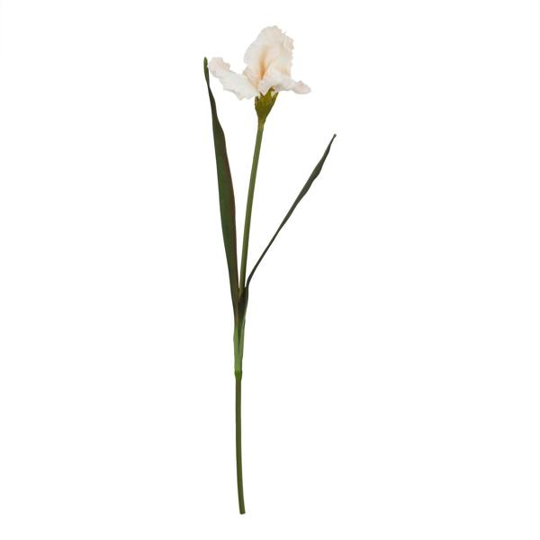 Wyld Haus Set of 3 Artificial Flowers Pale Apricot Fringed Iris Stems