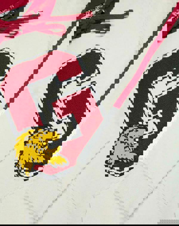 Harry Potter Womens Beige Gryffindor Hoodie