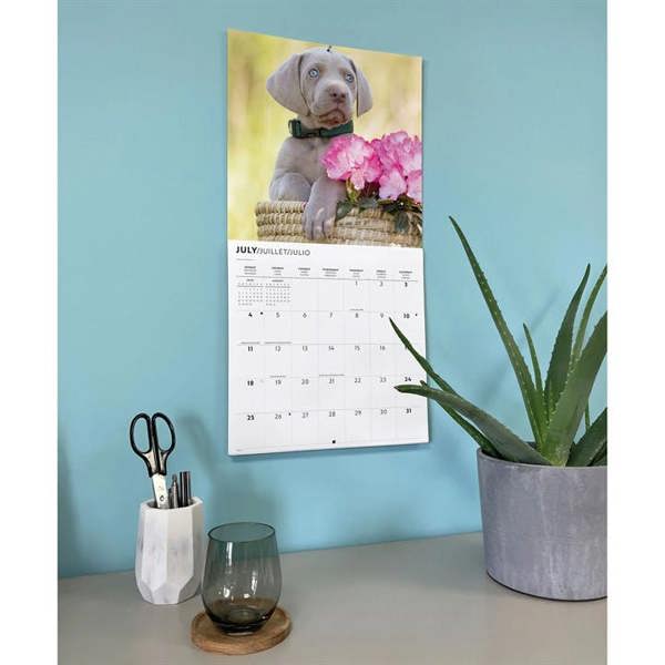 Weimaraners Calendar 2027, Wall Calendars, Month To View, Dogs, Gift