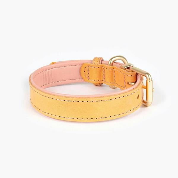 EzyDog Oxford Leather Classic Dog Collar in Pink