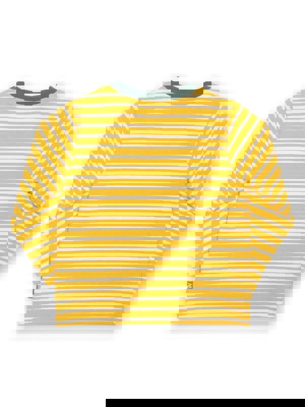 Kite Boys Organic Dinky Dino T-Shirt