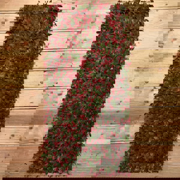 Samuel Alexander 100cm x 200cm Artificial Fence Garden Trellis Privacy Screening Indoor Outdoor Wall Panel - Red Beech Leaf