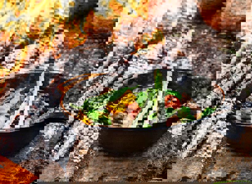 Petromax Cast Iron Fire Skillet