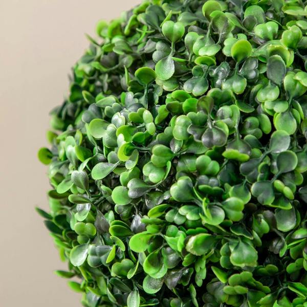 Close-up of artificial boxwood ball tree leaves, glossy green foliage and dark stems