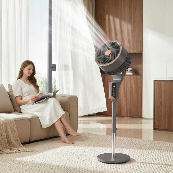 Air Circulator Fan
