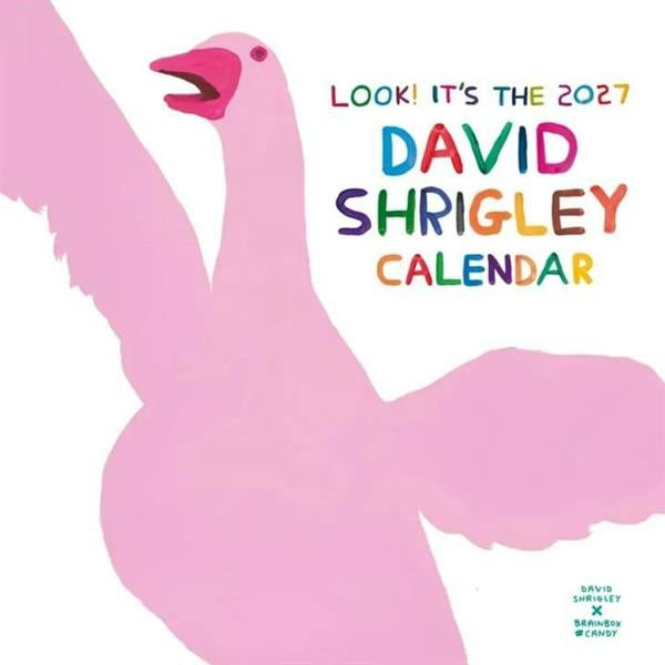 David Shrigley Calendar 2027, Wall Calendars, Month To View, Humour, Gift