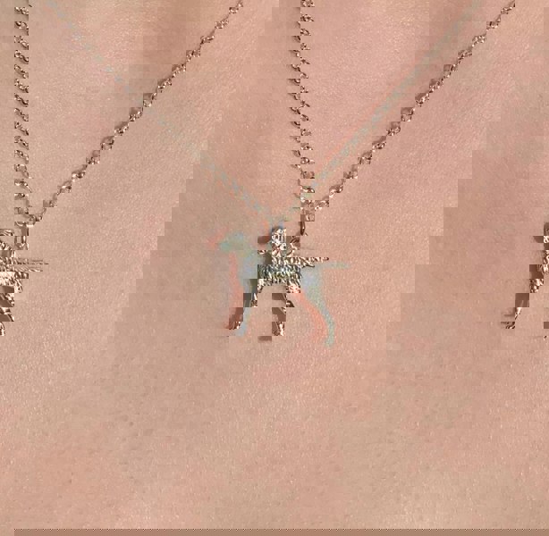 Vizsla Silver Necklace - Personalised - MYLEE London