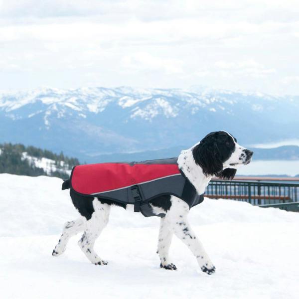 EzyDog Element Jacket in Red
