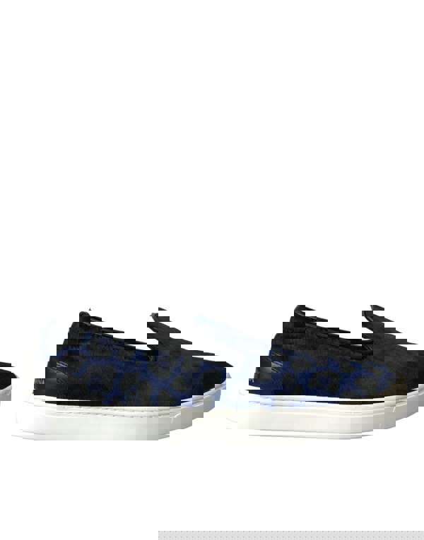 167421679.jpg