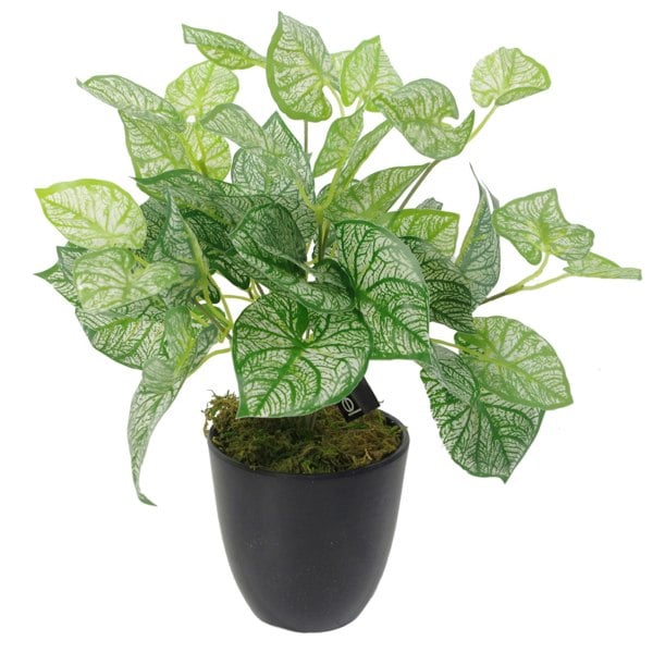 Leaf 40cm Artificial Caladium Plant with pot