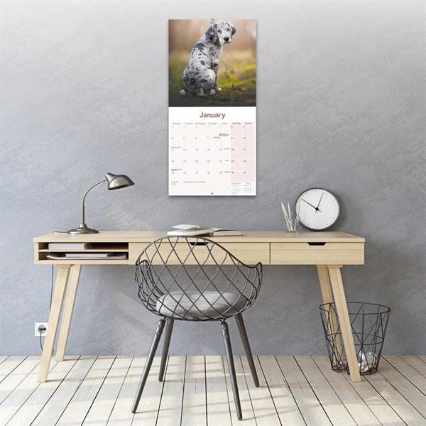Great Dane Calendar 2027, Wall Calendars, Month To View, Dogs, Gift