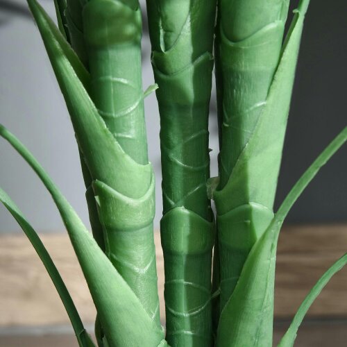 Wyld Haus Vavi Artificial Green Palm Style Tree In Nursery Pot For Home And Office Styling