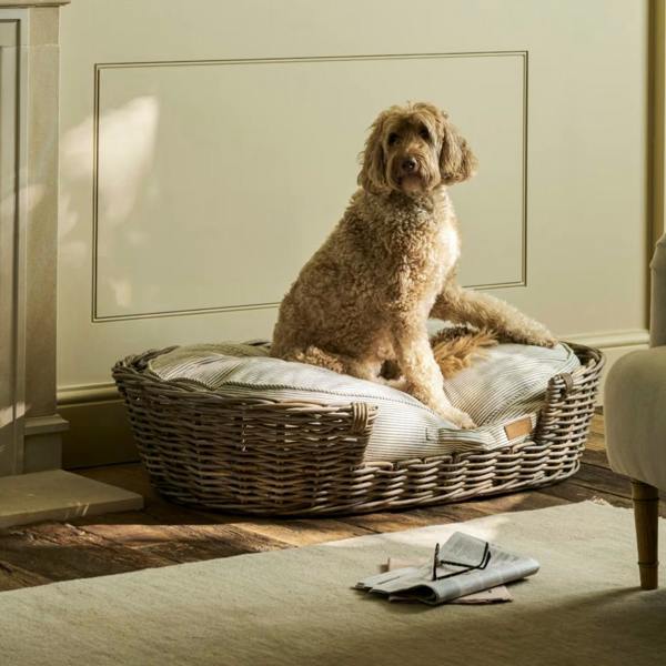 A large Labradoodle sitting comfortably in an extra large handwoven rattan dog bed with a striped cushion.