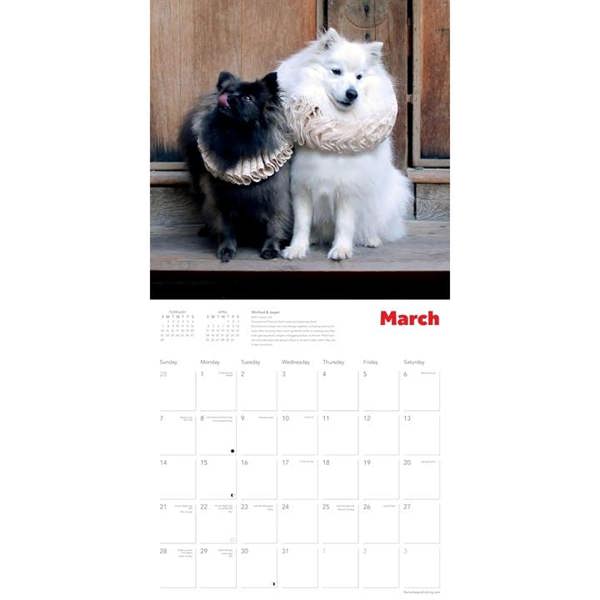 Shakespeare's Globe, Dogs in Ruffs Calendar 2027, Wall Calendars, Month To View, Dogs, Gift