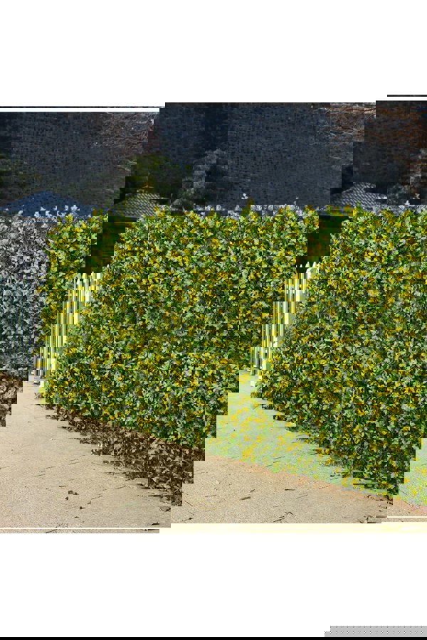 Living and Home 40x60cm Simulated Green Plants Decorate The Eucalyptus Lawn