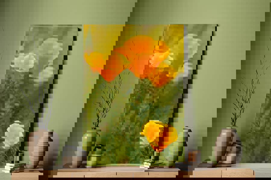 Californian Poppies by Jacky Parker