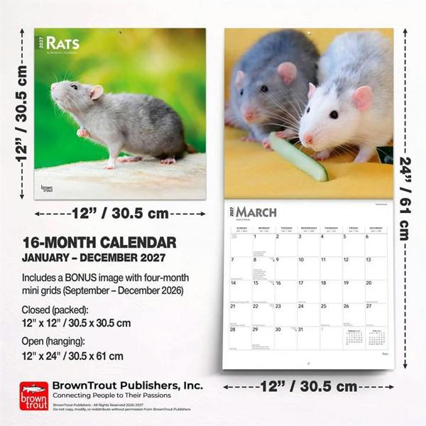 Rats Calendar 2027, Wall Calendars, Month To View, Animals, Gift
