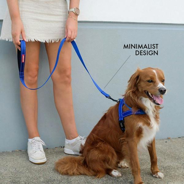 EzyDog Classic Dog Lead in Grey