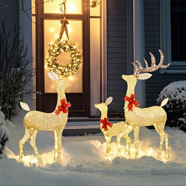 Lighted Christmas Decoration