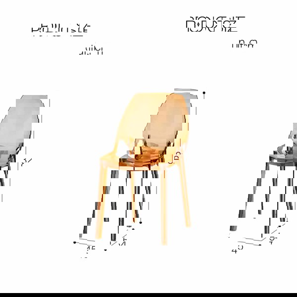 Rit Concept Schmitt Ghost Chair, Plastic Dining Chair, Acrylic