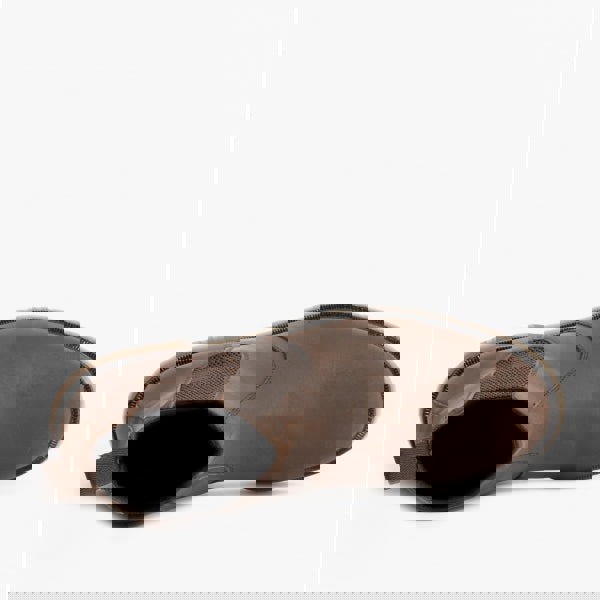 1643017321-50884700.jpg