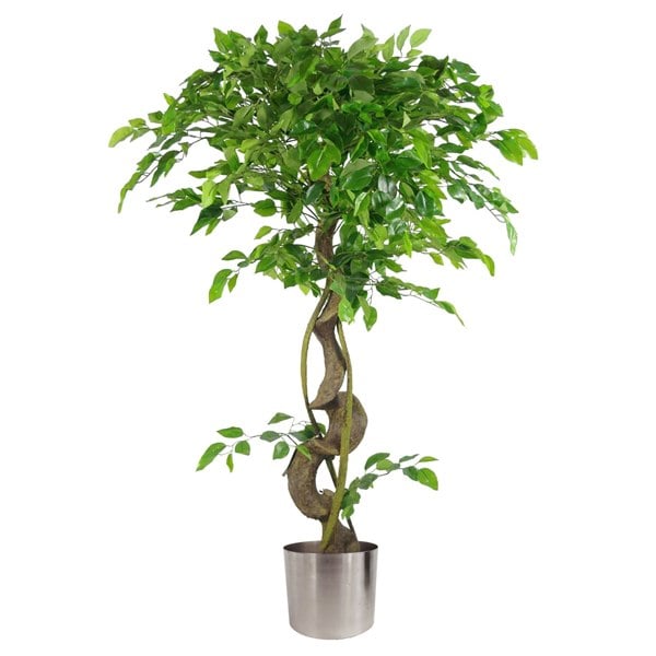 Leaf 120cm Twisted Trunk Artificial Japanese Fruticosa Style Ficus Tree