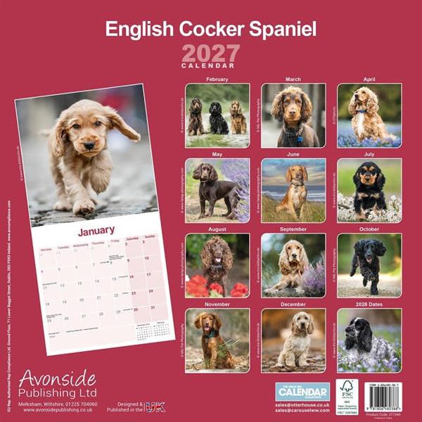 English Cocker Spaniel Calendar 2027, Wall Calendars, Month To View, Dogs, Gift