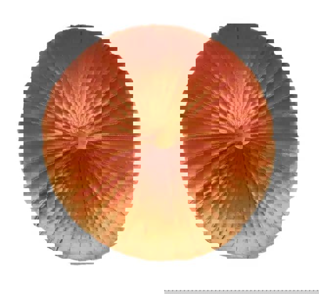 ANYHOUZ Pleated Round Pillow with Soft Cushion Filling