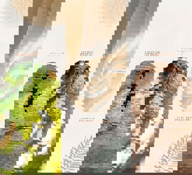 Restore Reed Diffuser - Pure Tranquility - 70ml