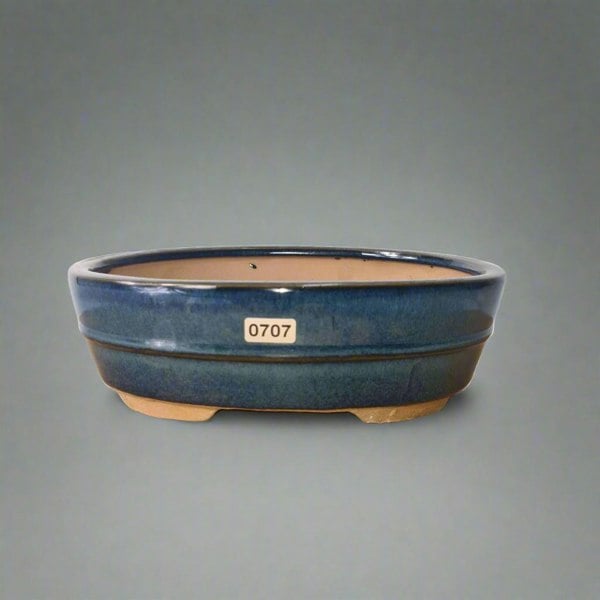 22cm Glazed Bonsai Pot | Oval | 22cm x 16cm x 7cm | Blue - Yorkshire Bonsai