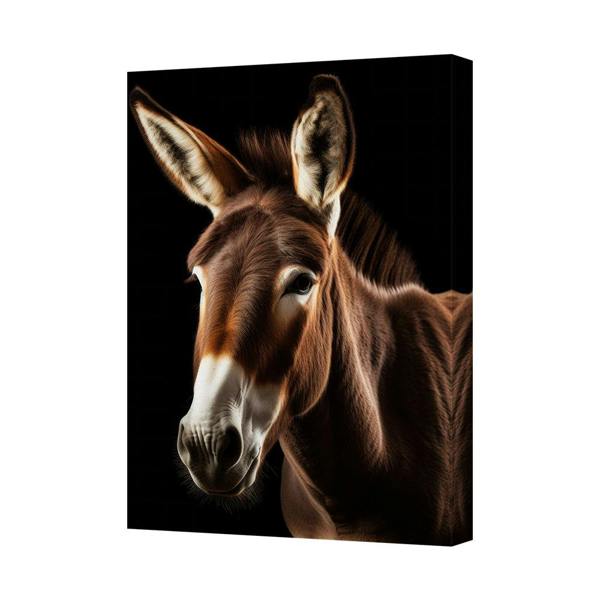 Benjamin Tate Design Donkey Portrait Canvas Wall Art Black Background Close Up Print