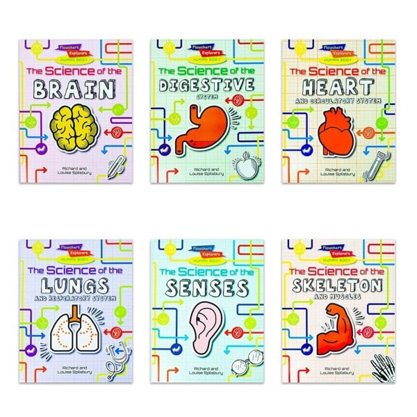 FOX EYE PUBLISHING Flowchart Explorers Human Body STEM 6 Science Books Set