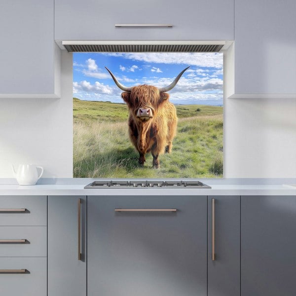 Warren Reed - Designer Highland Cow In Summer Kitchen Splashback