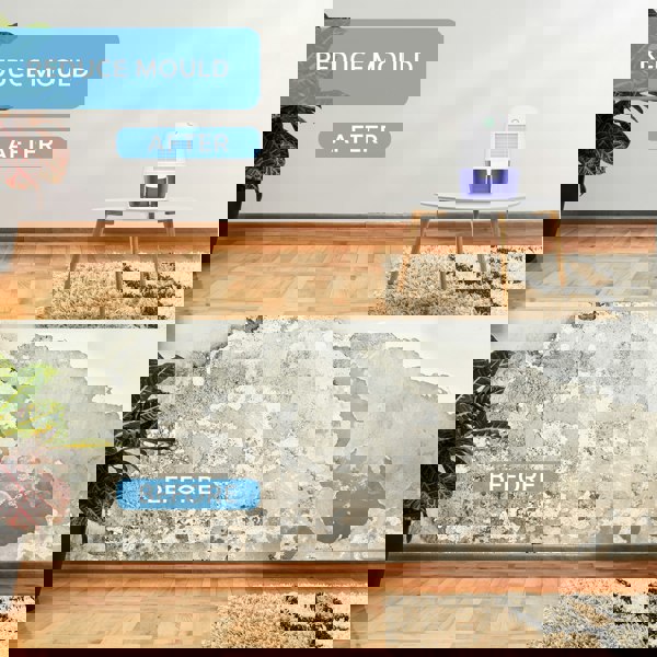 Air Pro Mini Dehumidifier Portable Electric Mould & Damp Remover 600ml