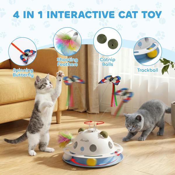 Cat Toys