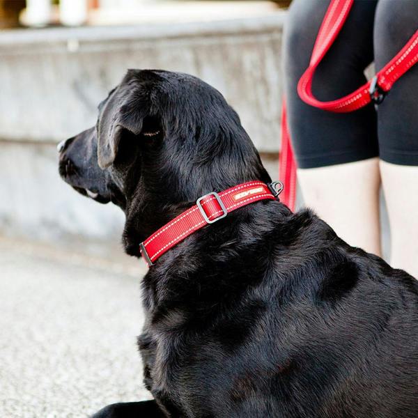EzyDog Double Up Dog Collar in Red